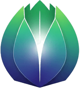 پلتفرم جامع ورزشی قبلی