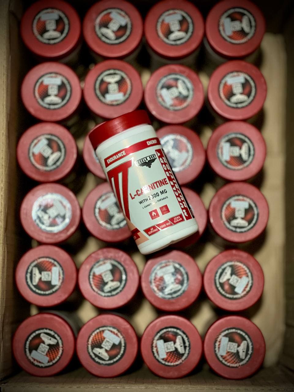 ال کارنیتین 120 عددی Muscle Body (Muscle Body L-Carnitine 120 Tabs)